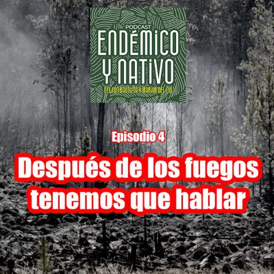 4. Después de los fuegos, tenemos que hablar