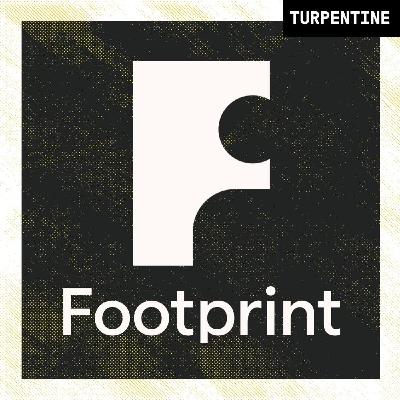 Footprint: AI, Biometrics, and the Battle Against Identity Theft with Eli Wachs
