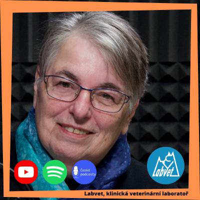 Co se děje v těle feny po krytí