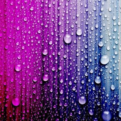 holy hiphop holy hiphop