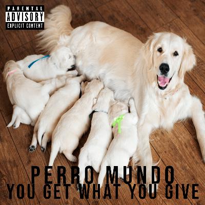 PERRO MUNDO CAP 8 : YOU GET WHAT YOU GIVE