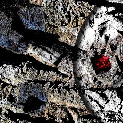 #37. Den 2. rejse #37. Den 2. rejse