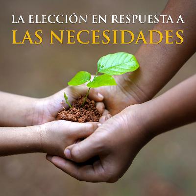 v18. La elección en respuesta a las NECESIDADES