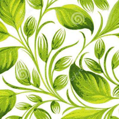 Царство Растения