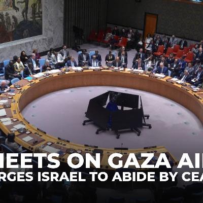 UNSC urges Israel to open more Gaza crossings and abide by ceasefire terms UNSC urges Israel to open more Gaza crossings and abide by ceasefire terms