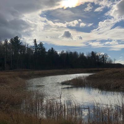 Walk along the River with a good friend