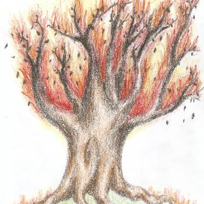 2A Liceo artistico Oristano - Luigi