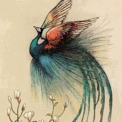 The Freedom Bird