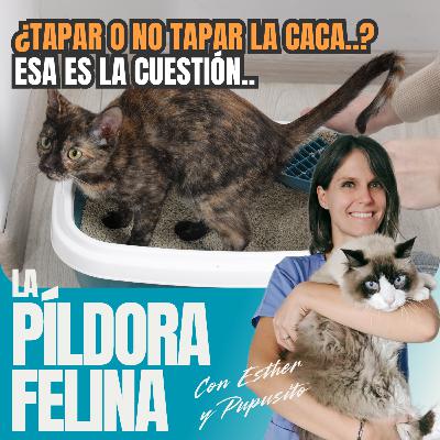 569. ¿Tapar o no tapar la caca..? Esa es la cuestión.. 569. ¿Tapar o no tapar la caca..? Esa es la cuestión..