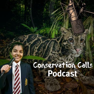 Coexisting with Giants: Navigating Wild Cat-Human Conflict in Indonesia