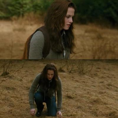 Chapter 10 | The Meadow | New Moon: Twilight Book 2