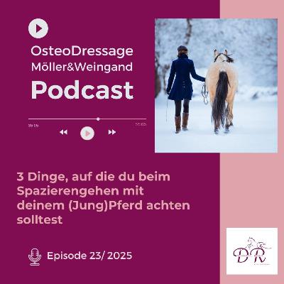 3 Dinge, auf die du beim Spazierengehen mit deinem (Jung)Pferd achten solltest 3 Dinge, auf die du beim Spazierengehen mit deinem (Jung)Pferd achten solltest