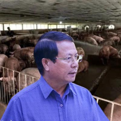 Lãnh đạo Cục Cảnh sát môi trường nói về tình trạng heo bệnh nhập lậu vào các tỉnh phía Nam