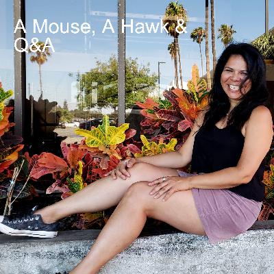 E90 - A Mouse, A Hawk & Answers to Some Questions E90 - A Mouse, A Hawk & Answers to Some Questions