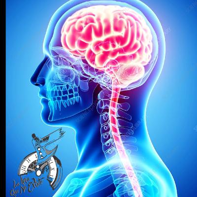 EP16 - Cerebro Humano (con Dr. Miguel Valle)