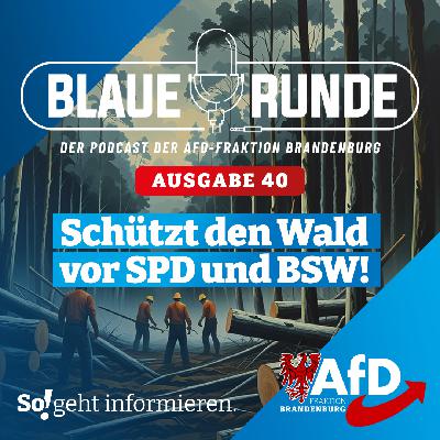 Schützt den Wald - vor SPD und BSW! | Die Blaue Runde, Ausgabe 40/25 vom 09. Juli 2025