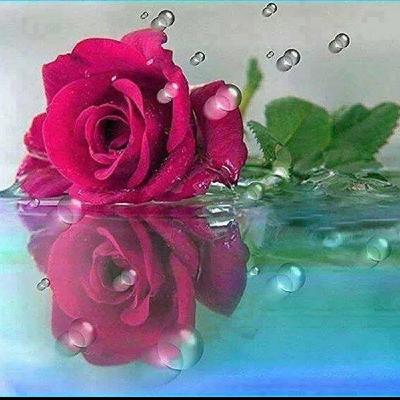 بـُـقْـطـُـفْـلَـكْ بَـسْ، هَـالْـمَرّة بَـسْ / فيروز