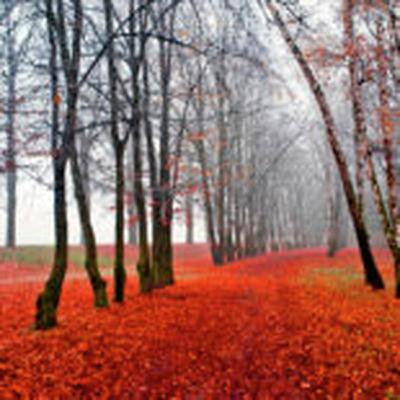 HOROSKOPY: Vodnáři, pod patronací Jupitera si užijete i milostná dobrodružství