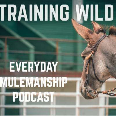 260. Training Wild Donkeys With Mary Jo Enfield