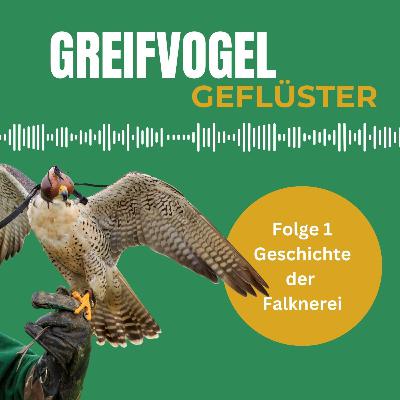 Die Geschichte der Falknerei: Von den Ursprüngen bis zur UNESCO-Anerkennung