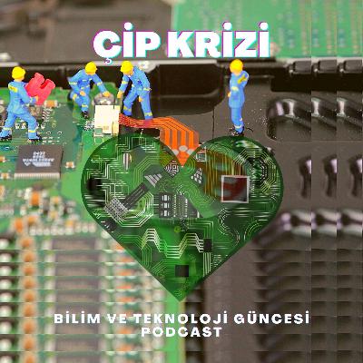 Çip Krizi Çip Krizi