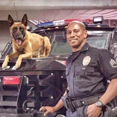 Great K9 Capers with Sgt. MIKE GOOSBY, Chief Trainer LAPD K9 Metro! Great K9 Capers with Sgt. MIKE GOOSBY, Chief Trainer LAPD K9 Metro!
