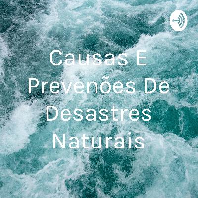 Causas e prevenções de desastres naturais
