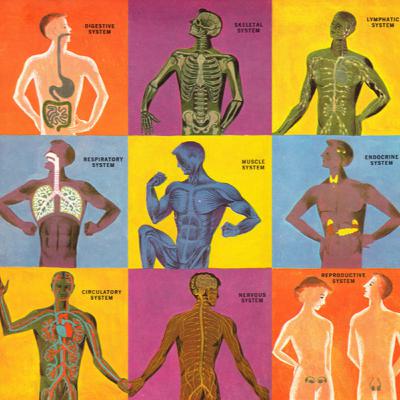 O corpo, a nossa primeira casa