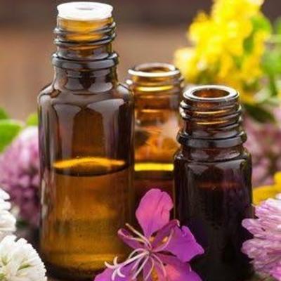 A importância dos florais de Bach.