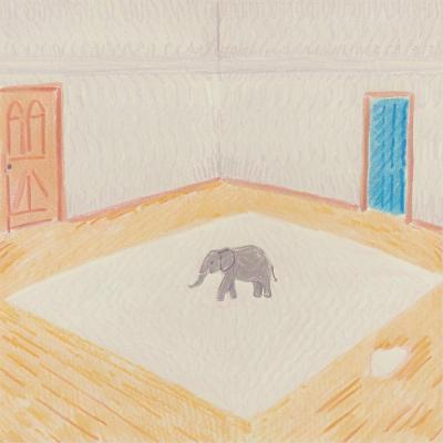 原来如此?原来非此!聊聊我们遇到的那些“房间里的大象” 原来如此?原来非此!聊聊我们遇到的那些“房间里的大象”