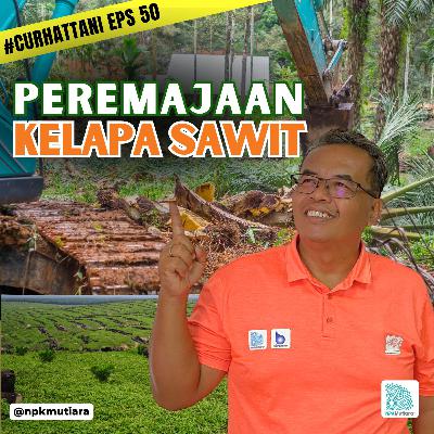 Program Replanting Kelapa Sawit, Meregenerasi Hasil Dan Kualitas Kebun | CurhatTani #50
