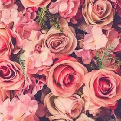 Organización y administración educativa