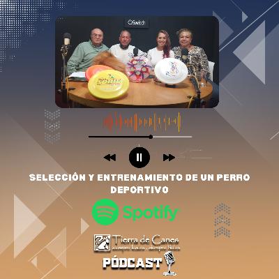 Selección y entrenamiento de un perro deportivo