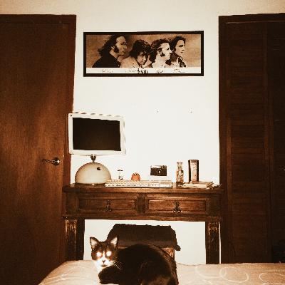 Diarios Psicodélicos - LSD