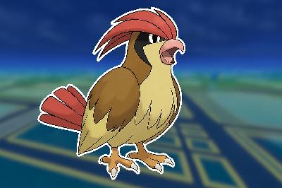 Pidgeotto | Stats, Moves, Evolution & Locations | The Pokemon Pokedex With Rhys & Felicity