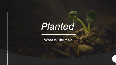 Planted - What is Church?