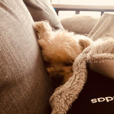 Millionaire’s nap