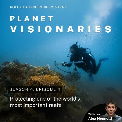 The secrets of a uniquely vibrant reef