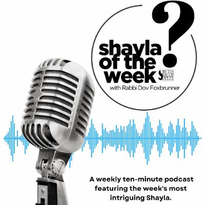 Shayla of the Week #4: Hostages, Halacha, History and Humility - R' Asher Weiss' Approach to  Hostage Deals