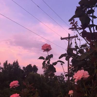 O que é autoconhecimento 🦋