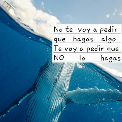 Cómo crear No te voy a pedir que hagas algo