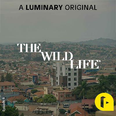 Whack-a-Mole Whack-a-Mole