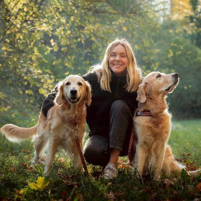 Hundstallets årsresumé 2023
