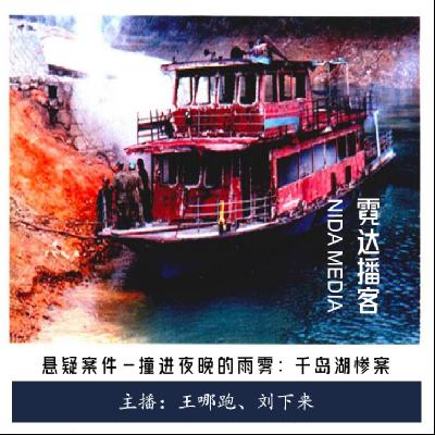 112. 撞进夜晚的雨雾：3.31千岛湖惨案|回馈听友之点播案件
