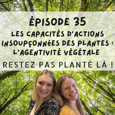 Les capacités d’actions insoupçonnées des plantes : l’agentivité végétale Les capacités d’actions insoupçonnées des plantes : l’agentivité végétale