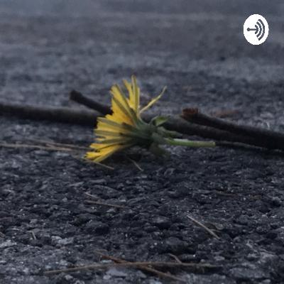 Update!! π₯° Update!! π₯°