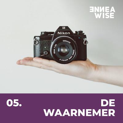 Type 5: De Waarnemer
