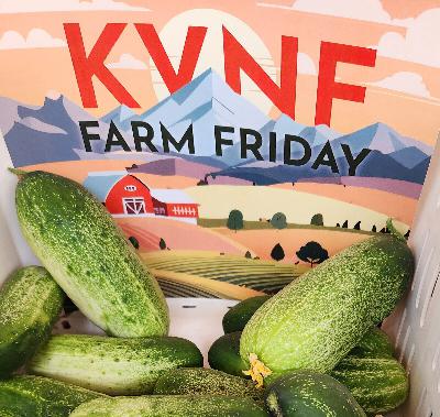 KVNF Regional Newscast: October 3, 2025