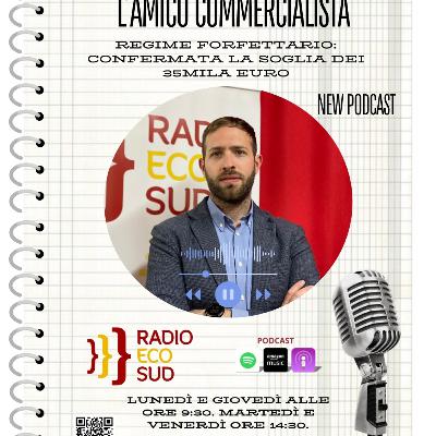 L'amico commercialista 22 puntata