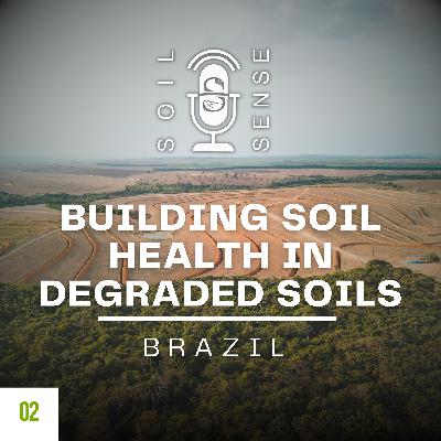 Building Soil Health in Degraded Soils Building Soil Health in Degraded Soils